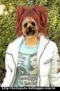 am si io poze trucate cu rbd 