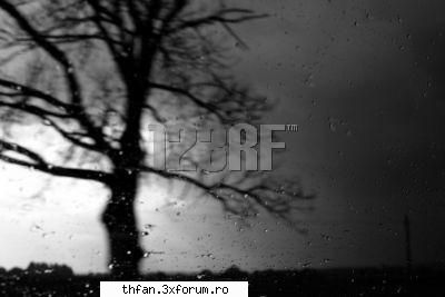 Ditch or Date? - ditch (nu am nimic cu ea dar nu-mi place ce - Games