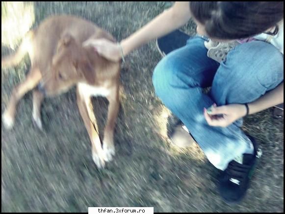 Iruu` cap de melc :X - Cutzuu de ieri :X - Pictures
