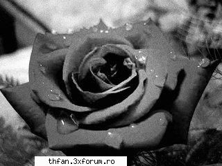 *Snap...and die* (+18) - )) "Si eu " : x............... atat de sweet :x - Fan-fictions