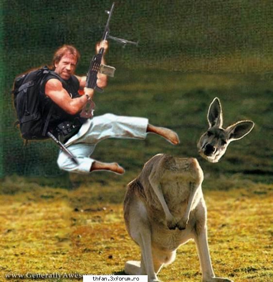 bancuri cu chuck norris ! - Chuck Norris does not hunt because the word - Funny