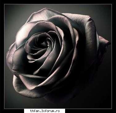 deadly love - cam mic nextu =( pone unu mai mare plz - Fan-fictions