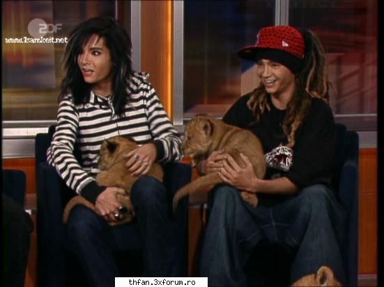 fun with tom - aoleoooooo cn draq a adus tigri asia aici ce - Tom
