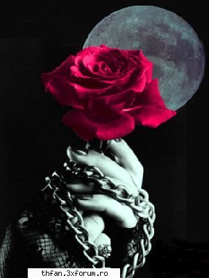 galerie bill - cred k m opresc aici k m doare degetu la kt am - Bill
