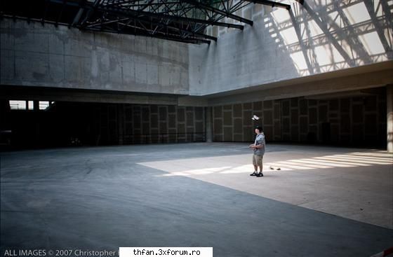 galerie gustav - Ciuperca_roz - Gustav
