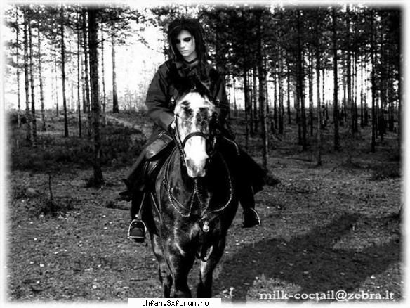 galerie tokio hotel - ayana - Tokio Hotel