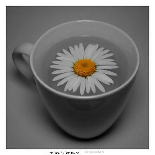 ** it`s my life ** - esti mumoasa semeni f bine cu o fosta colega de - Pictures