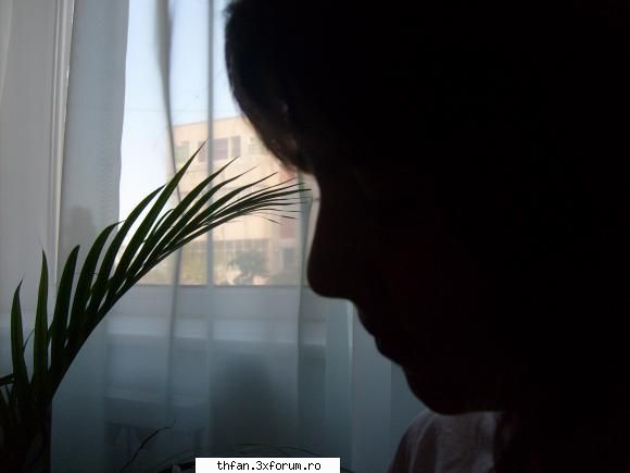 ok... is noua... sa nu va speriatzi ok?:D - alta... asta e pref mea - Pictures