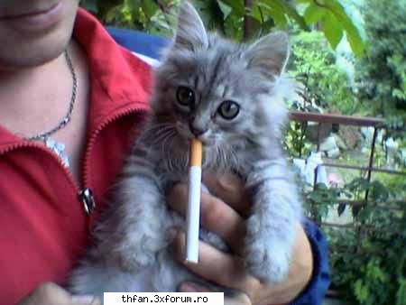 poze funny - Asta e mai moolt scumpic decat funny ! 10 pentru - Funny
