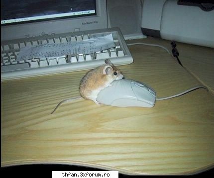 poze funny - loool............8 - Funny