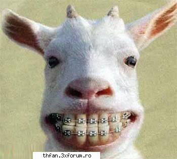 poze funny - lool shi mie tot de ei imi aduce - Funny