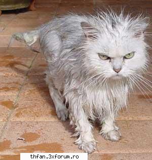 poze funny - XSymoX - Funny