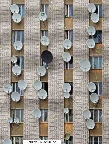 poze funny - AnkuღBill - Funny
