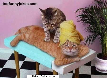 poze funny - RoxxyTH - Funny