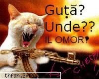 poze funny - uitati o poza kre mie una imi place ff mult - Funny