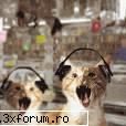 poze funny - ioana kaulitz - Funny