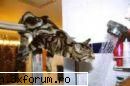 poze funny - sry mai sus nu mi-a recunoscut poza - Funny