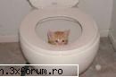 poze funny - sper sa va placa - Funny