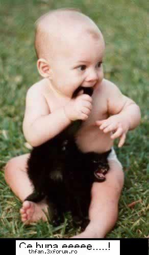 poze funny - 10 cat urasc eu pisicile!!!!!!bn ii face - Funny