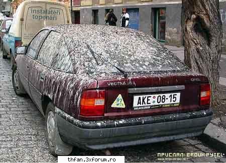 poze funny - lool k tzintea pe kinele meu k a mushkto de coada - Funny