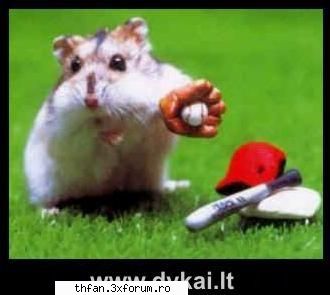 poze funny - lool poate ishi scoate o formatzie pun shi eu una - Funny
