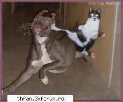 poze funny - Nu merge=( sa vad daca merge alta ! Yeeee ! Asa - Funny