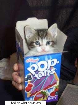 poze funny - cat imi place mie de patinatorul asta ! Il chema - Funny
