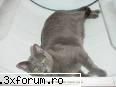 poze funny - Doamneeee ! 10 ! Ce looome ! - Funny