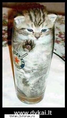 poze funny - Loooool ! 10 ! Ce ziceti de asta ? - Funny