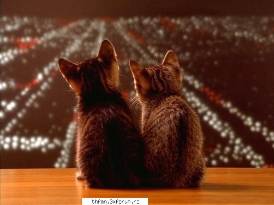 special kisses - Pe 3 si 4 ! Oricum noi am mai incercat si - Love